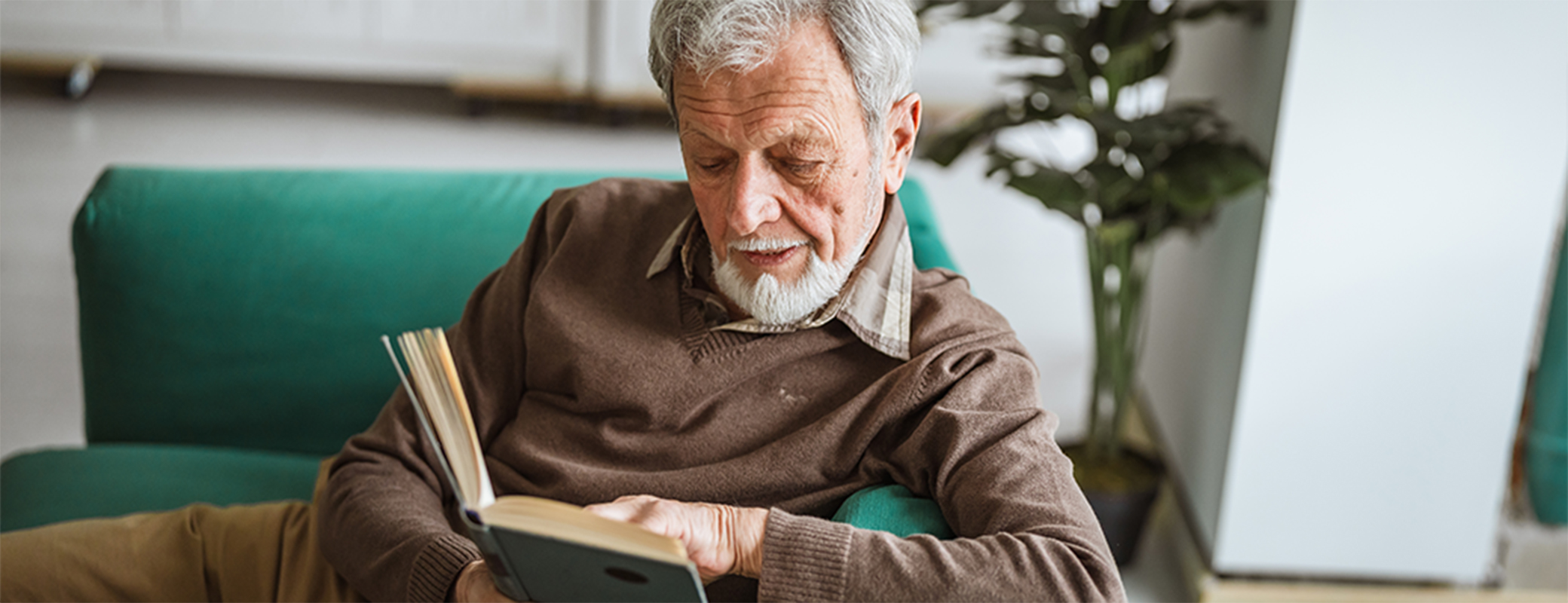 Image of senior man reading on the sofa